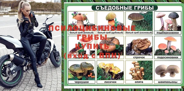 2c-b Козельск