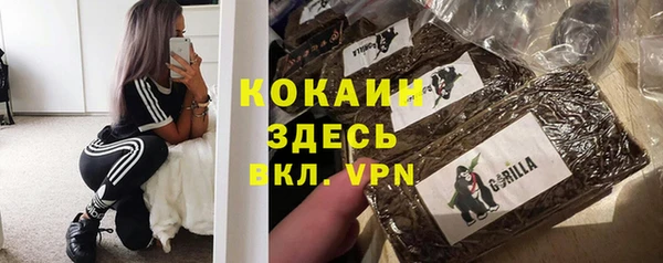 2c-b Козельск
